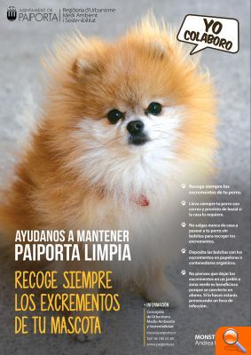 Paiporta repartirá miles de trípticos, bolsas y cajas para concienciar a la población y contribuir a la recogida de excrementos de mascotas - (foto 2)